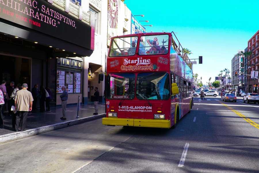 Hop On Hop Off Starline Tours